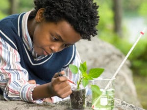 A young boy with cerebral palsy at an early learning center examining a plant in a beaker.