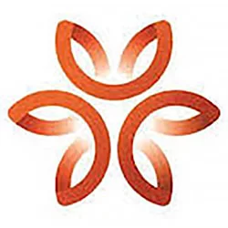 A logo featuring an orange flower representing pediatric therapy and day treatment for adults.